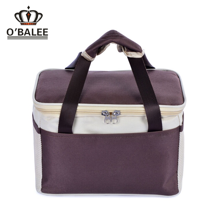 Online Market Promotional Insulated Cooler Bag for Frozen Food