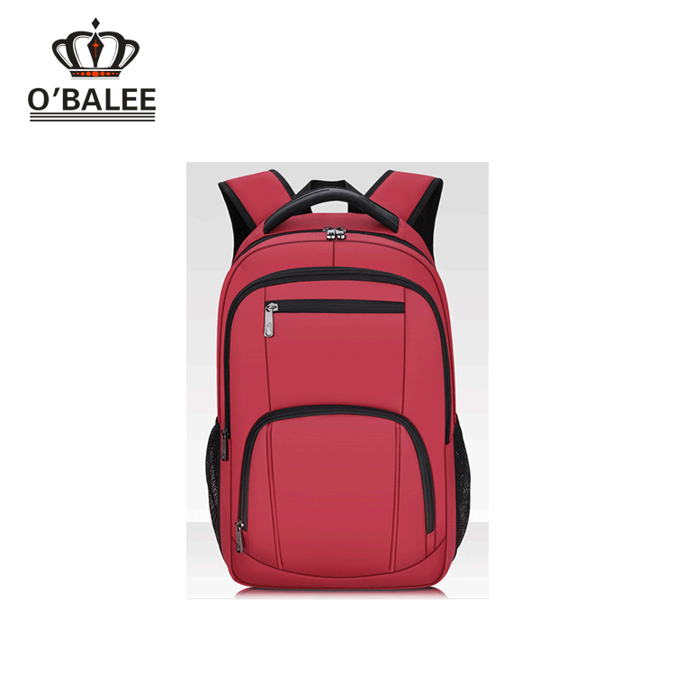 Tough 2 Computer Backpack for men and women in good quality