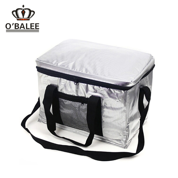 Wholesale fashional fridge to go portable cooler bag, Cold pack