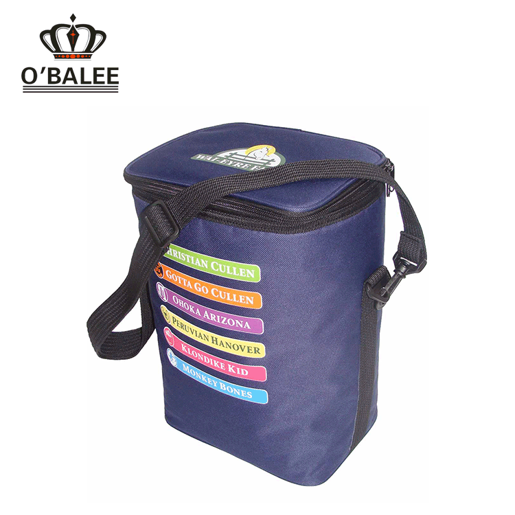 Hot sale Lunch insulated food wine cooler bag